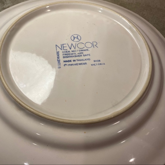 2 Vintage Newcor Blue Ribbon 6026 dinner plates - Picture 10 of 12